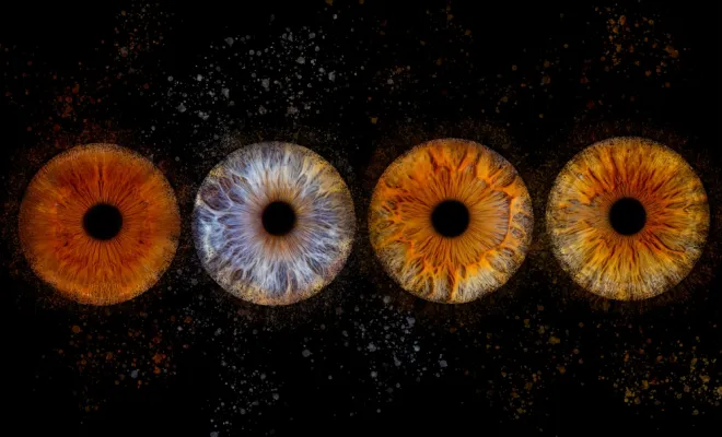 Iris, Amiens, Adeline Brisse Photographie