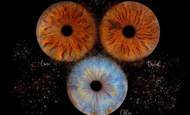 Iris, Amiens, Adeline Brisse Photographie